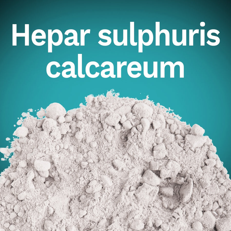 Hepar sulphuris calcareum