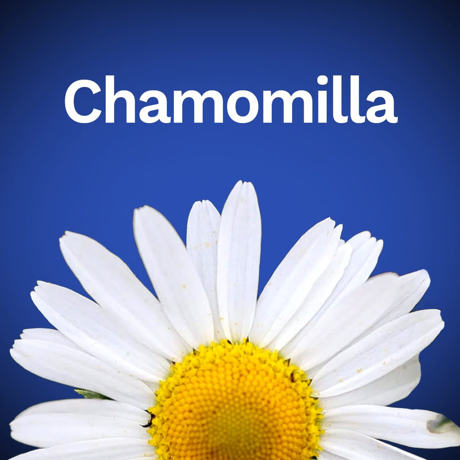 Chamomilla