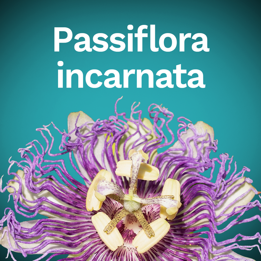 Passiflora incarnata