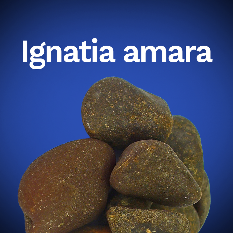 Ignatia amara